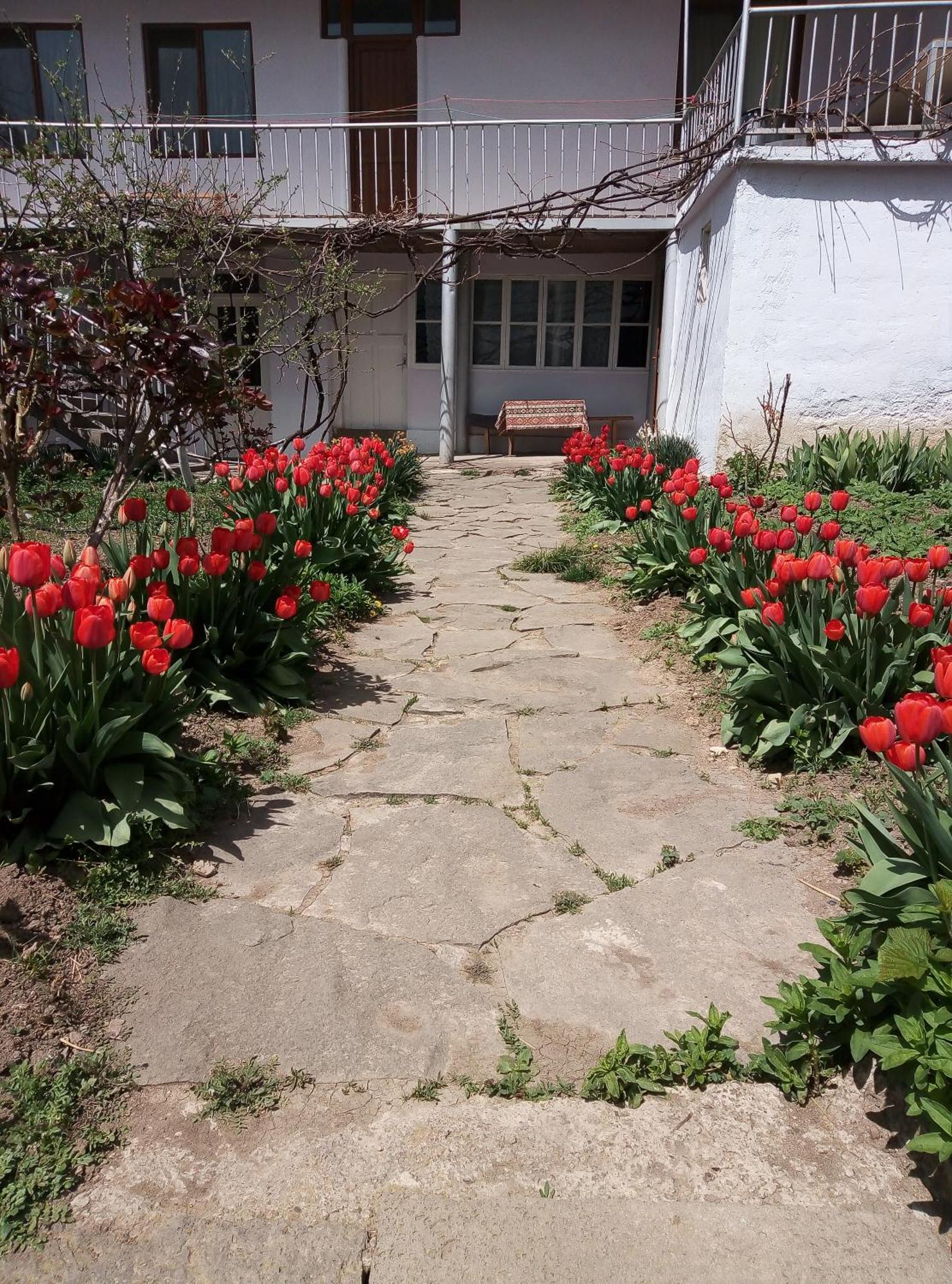 Aspet B&B Татев Екстериор снимка